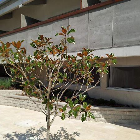 אלדיה דו מקו Albergaria Da Tomasia מראה חיצוני תמונה