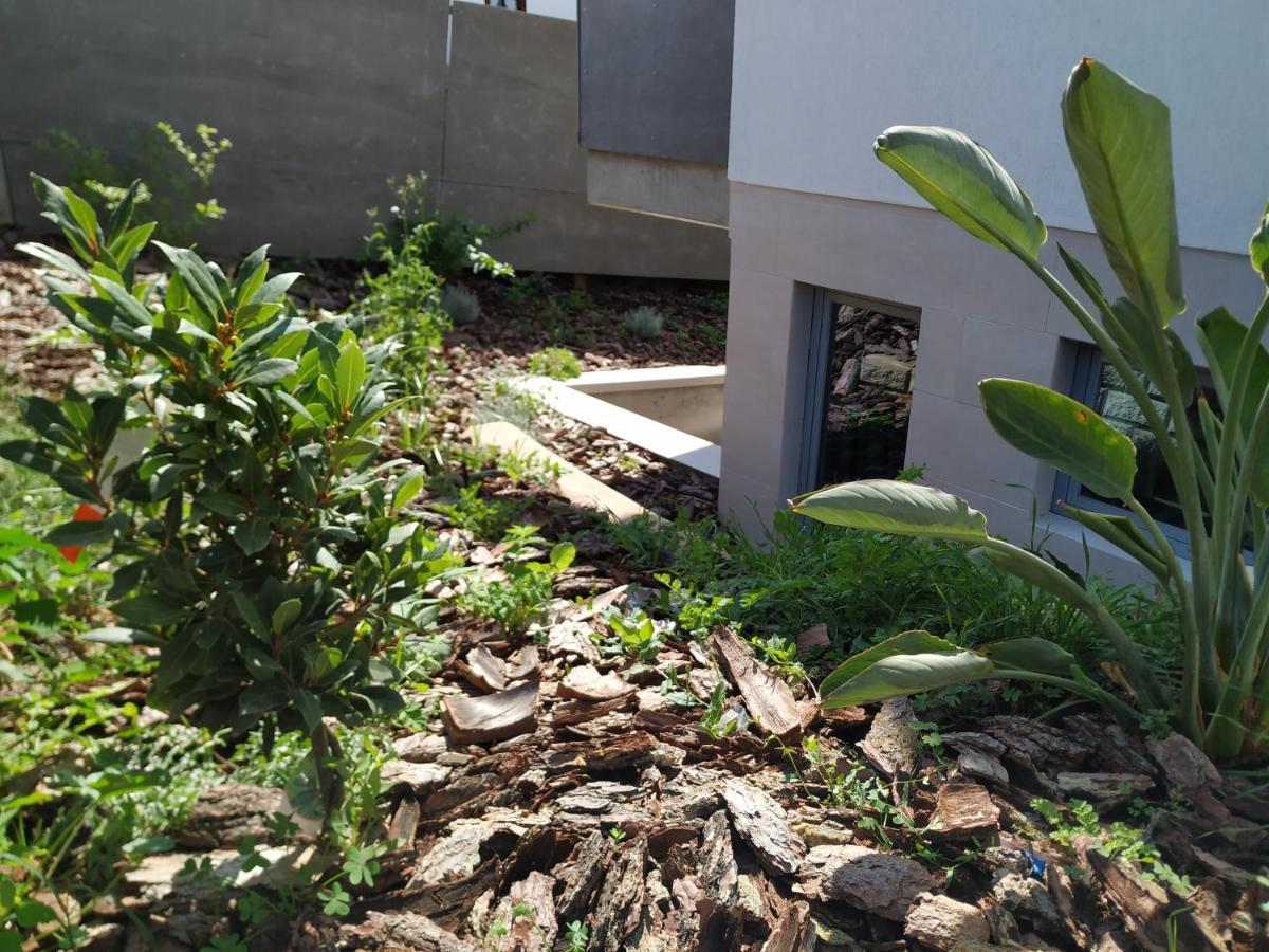 אלדיה דו מקו Albergaria Da Tomasia מראה חיצוני תמונה